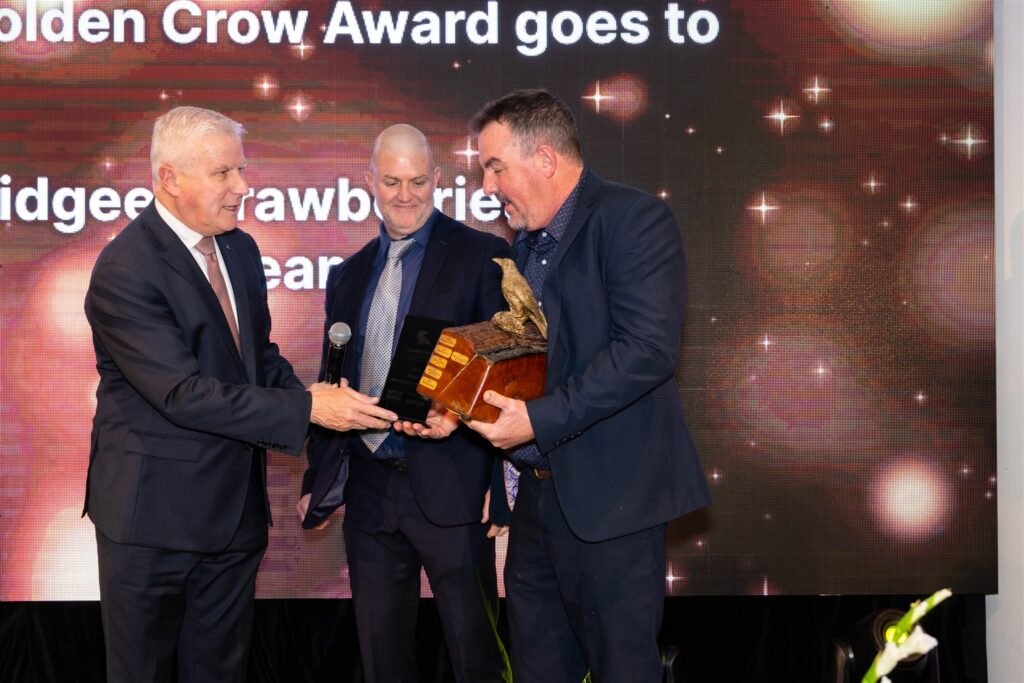 CROW-AWARDS-2025